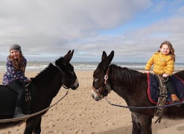 belgium/de-haan/landmark/de-duinezel-ezelwandelingen