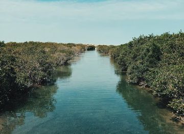qatar/al-khor/landmark/purple-island-beach