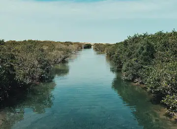 Purple Island Beach