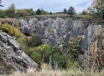 belgium/flemish-ardennes/landmark/fondry-des-chiens