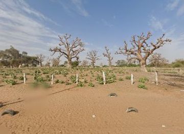 senegal/diourbel/landmark/mbanaar-ndayane