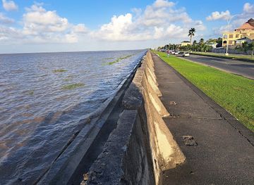 guyana/essequibo-islands-west-demerara/landmark/seawall