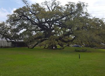 louisiana/lake-charles/landmark/imperial-calcasieu-museum