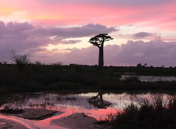 madagascar/sava/landmark/ndao-i-travel-madagascar