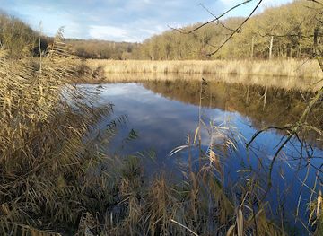 moldova/nistru-river/landmark/taul-park