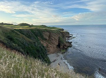 new-zealand/chatham-islands/landmark/tikitiki-hill-conservation-area