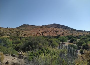 chile/la-serena/landmark/valle-del-encanto