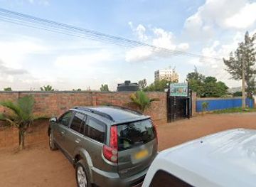 rwanda/muhazi-lake/landmark/gorilla-trekking-in-rwanda