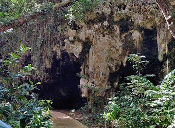 barbados/harrison-s-cave/landmark/welchman-hall-gully