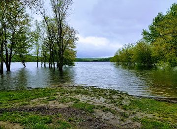 indiana/southeast-indiana/landmark/hoosier-national-forest