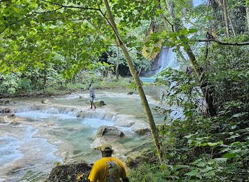 vanuatu/espiritu-santo/landmark/first-national-real-estate-espiritu-santo