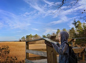 virginia/tidewater/landmark/york-river-state-park