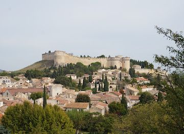france/avignon/avignon-old-town/landmark/fort-saint-andre