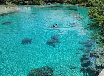 french-polynesia/society-islands/landmark/the-lagoonarium