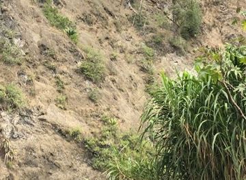 dominican-republic/constanza/landmark/area-para-escalar-con-arnes