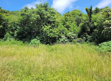 christmas-island/murray-hill/landmark/south-point-settlement-remains