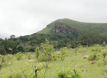 gabon/mayombe-forest/landmark/lope-national-park