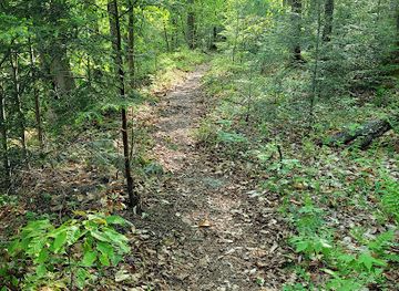 pennsylvania/anthracite-coal-region/landmark/old-loggers-path