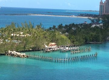 the-bahamas/nassau-and-paradise-island/landmark/marine-habitat-at-atlantis