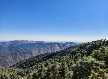 algeria/chrea-national-park/landmark/chrea-national-park-museum