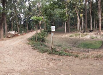 bangladesh/eastern-bengal/landmark/bakultala-more-narangali-middle-para-sadar-jessore-based-bangladesh