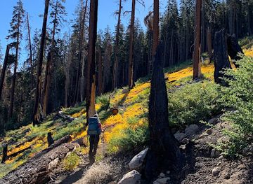 california/sequoia-national-park/landmark/tar-gap-trailhead