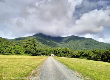 australia/cape-tribulation/landmark/cape-tribulation-horse-rides