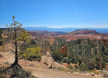 utah/bryce-canyon-city/landmark/rim-trail-sunrise-point-trailhead