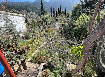 cyprus/kyrenia/lapta/landmark/hikmet-ulucam-kaktus-bahcesi-cactus-garden