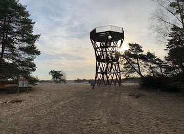 netherlands/hoge-veluwe-national-park/landmark/het-kootwijkerzand