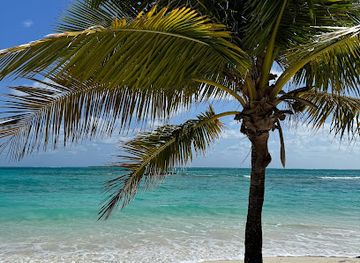 the-bahamas/exuma/landmark/flamingo-beach