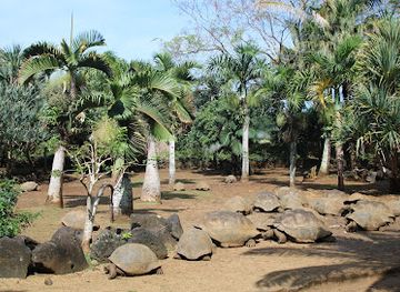 mauritius/trou-aux-cerfs/landmark/la-vanille-nature-park