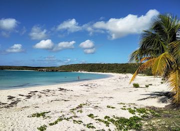 puerto-rico/vieques-island/landmark/caracas-beach