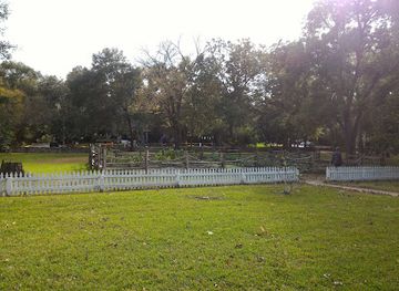 alabama/piney-woods/landmark/sam-houston-memorial-museum