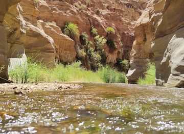 jordan/wadi-hasa/landmark/wadi-al-hasa