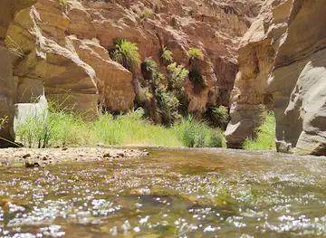 Wadi al Hasa