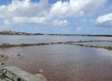 turks-and-caicos-islands/salt-cay/landmark/salt-house-museum