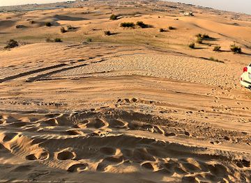 united-arab-emirates/dubai-desert-conservation-reserve/landmark/dubai-safaris-tour