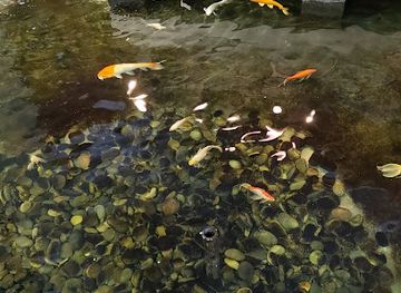 louisiana/honey-island-swamp/landmark/us-custom-house