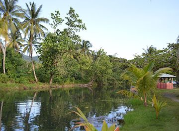 jamaica/great-morass/landmark/somerset-falls