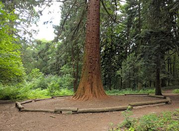 germany/heidelberg/landmark/sprunghohe