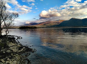 ireland/killarney/landmark/the-black-sheep-hostel-coffee-shack