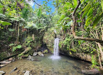 puerto-rico/yunque-national-forest/landmark/juan-diego-falls