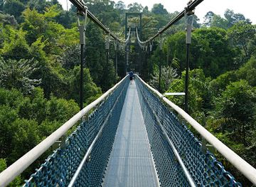 singapore/macritchie-reservoir/landmark/treetop-walk