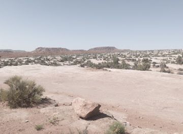 utah/canyonlands/landmark/willow-springs-dinosaur-tracks