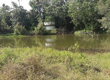 india/kerala/landmark/sijin-kalamparambil