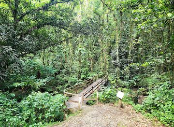saint-vincent-and-the-grenadines/botanic-gardens-st-vincent/landmark/vermont-nature-trail-and-rain-forest