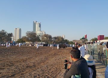 united-arab-emirates/fujairah-beaches/landmark/fujairah-bull-fighting