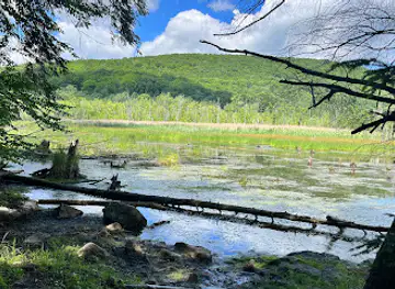 Jean-Paul Forand Park