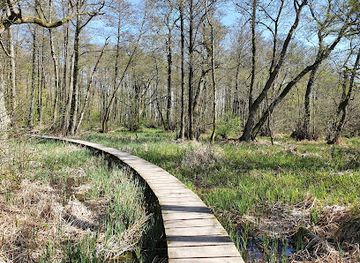 denmark/north-zealand/landmark/elleskovstien